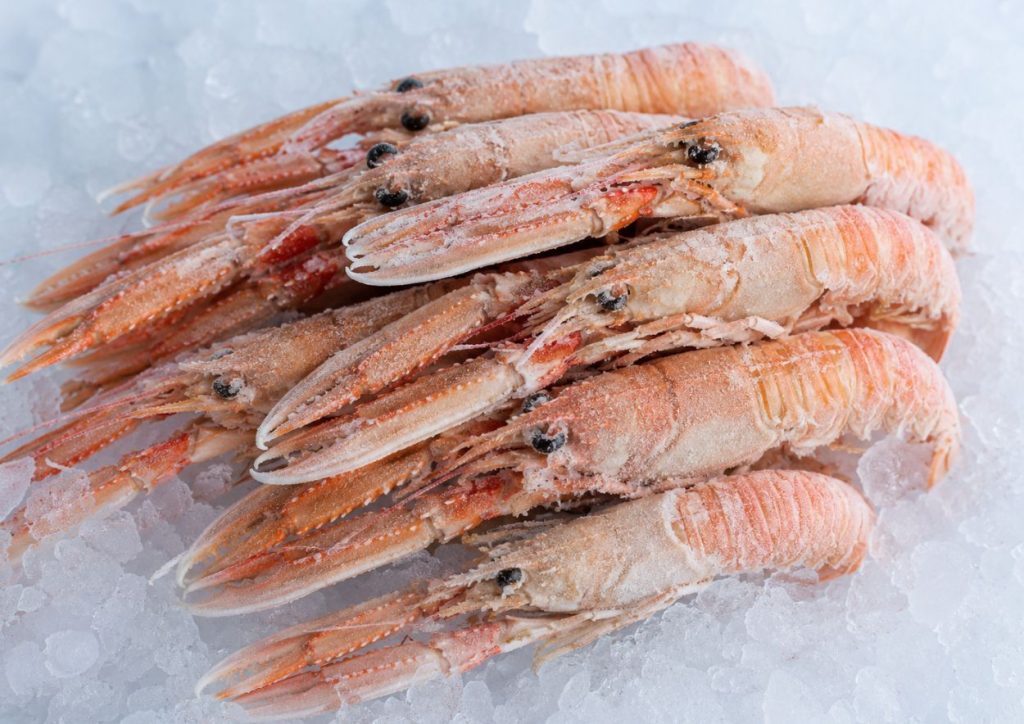 langoustines congelés