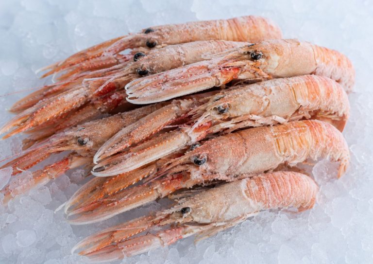 langoustines congelés